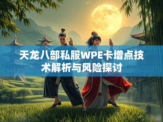 天龙八部私服WPE卡增点技术解析与风险探讨