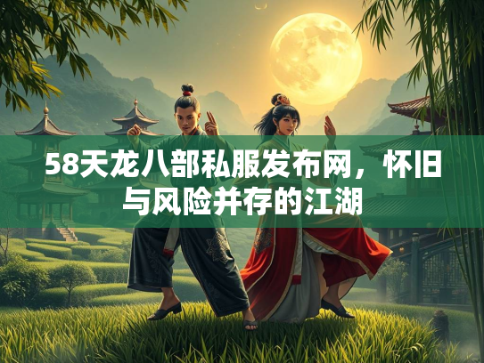 58天龙八部私服发布网，怀旧与风险并存的江湖  第3张