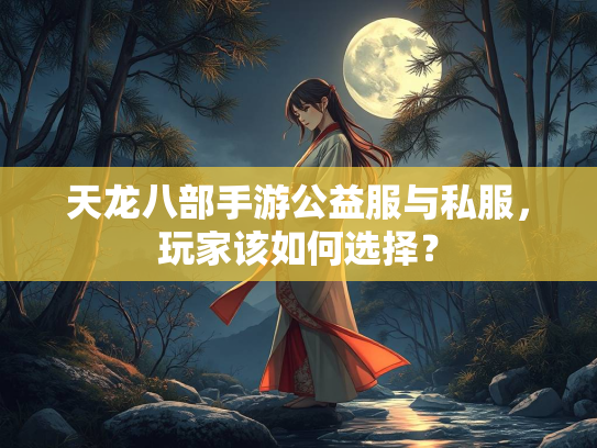 天龙八部手游公益服与私服，玩家该如何选择？