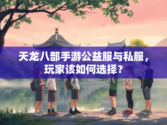天龙八部手游公益服与私服，玩家该如何选择？
