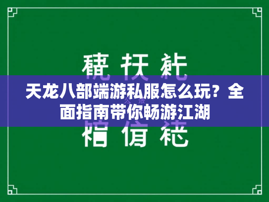 天龙八部端游私服怎么玩？全面指南带你畅游江湖  第4张