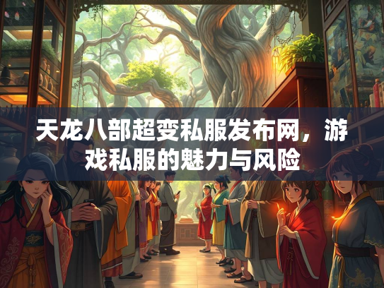 天龙八部超变私服发布网，游戏私服的魅力与风险
