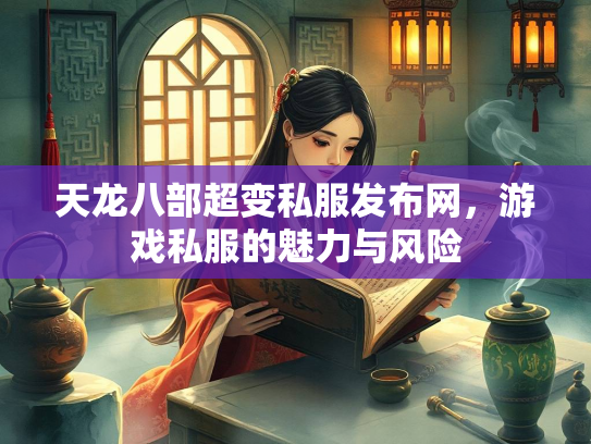 天龙八部超变私服发布网，游戏私服的魅力与风险  第5张