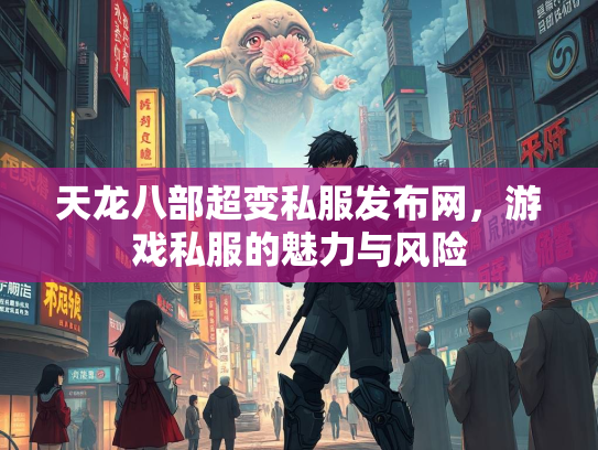 天龙八部超变私服发布网，游戏私服的魅力与风险