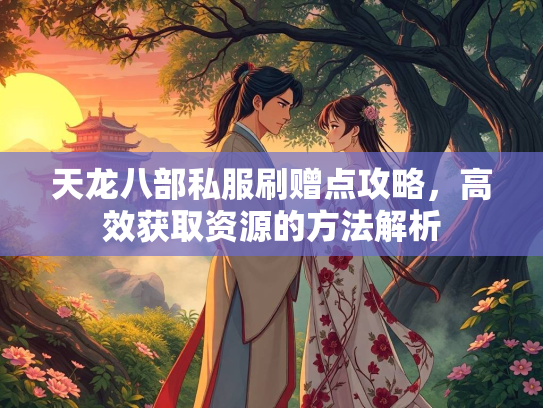 天龙八部私服刷赠点攻略，高效获取资源的方法解析