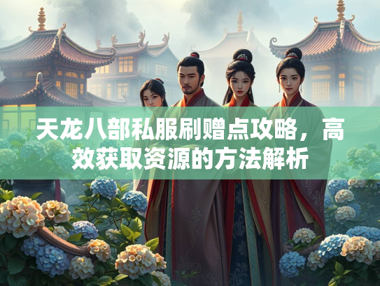 天龙八部私服刷赠点攻略，高效获取资源的方法解析