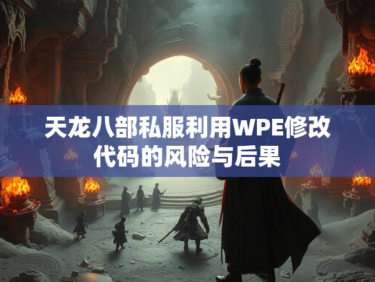 天龙八部私服利用WPE修改代码的风险与后果