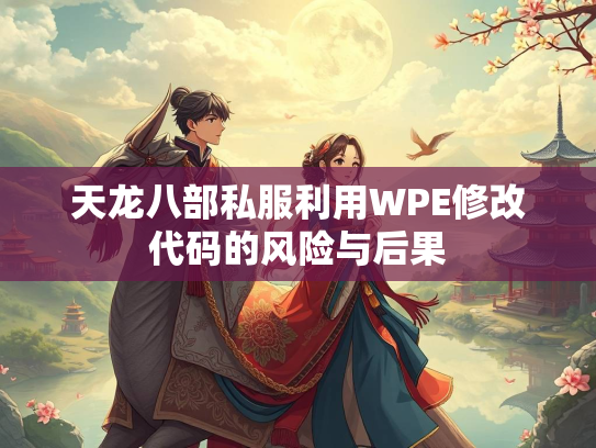 天龙八部私服利用WPE修改代码的风险与后果