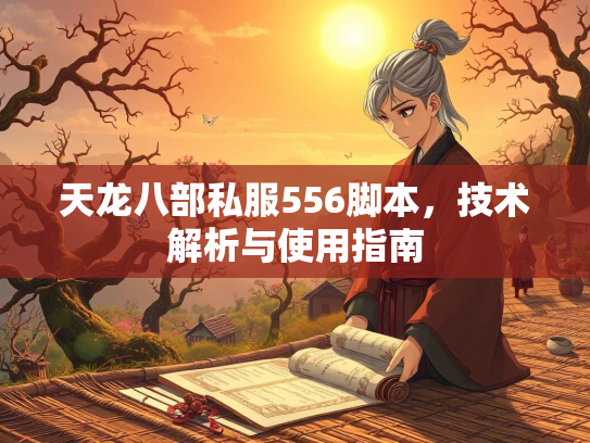 天龙八部私服556脚本，技术解析与使用指南