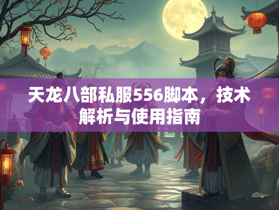 天龙八部私服556脚本，技术解析与使用指南
