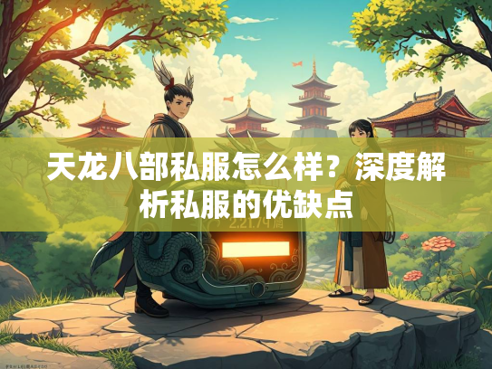 天龙八部私服怎么样？深度解析私服的优缺点