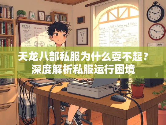 天龙八部私服为什么耍不起？深度解析私服运行困境
