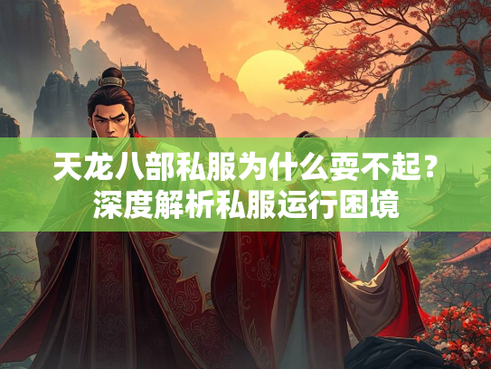 天龙八部私服为什么耍不起？深度解析私服运行困境