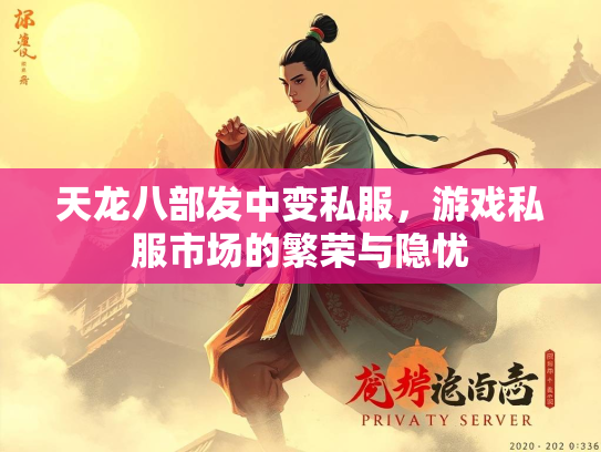 天龙八部发中变私服，游戏私服市场的繁荣与隐忧  第3张