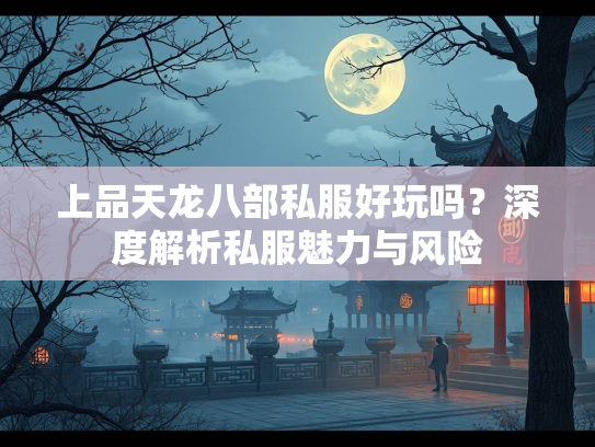 上品天龙八部私服好玩吗？深度解析私服魅力与风险