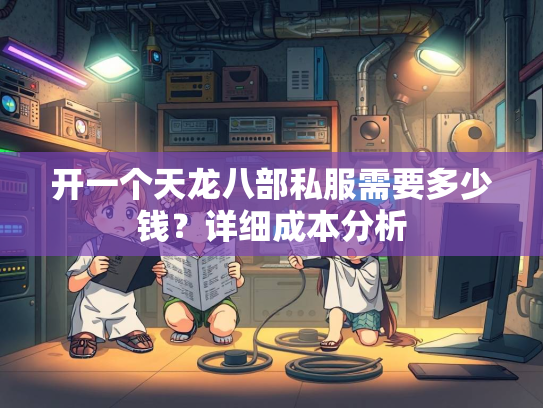 开一个天龙八部私服需要多少钱？详细成本分析  第4张