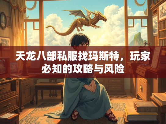 天龙八部私服找玛斯特，玩家必知的攻略与风险  第1张