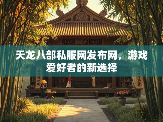 天龙八部私服网发布网，游戏爱好者的新选择