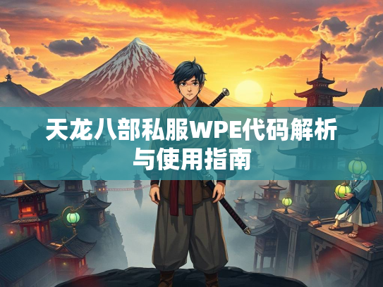 天龙八部私服WPE代码解析与使用指南