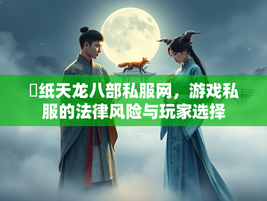 黒纸天龙八部私服网，游戏私服的法律风险与玩家选择