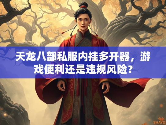 天龙八部私服内挂多开器，游戏便利还是违规风险？