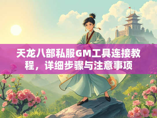 天龙八部私服GM工具连接教程，详细步骤与注意事项  第2张