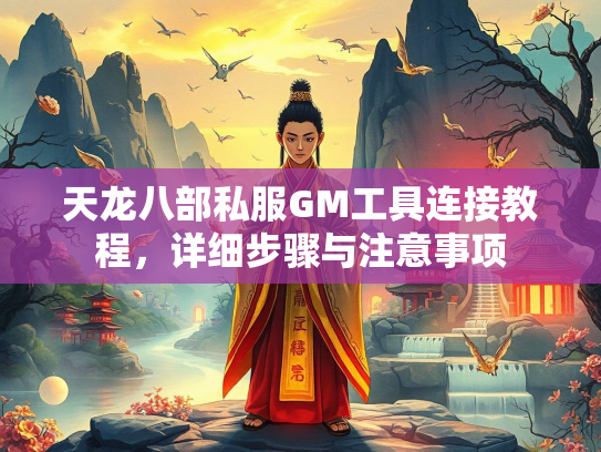天龙八部私服GM工具连接教程，详细步骤与注意事项  第3张
