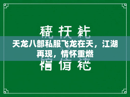 天龙八部私服飞龙在天，江湖再现，情怀重燃
