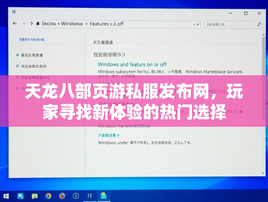 天龙八部页游私服发布网，玩家寻找新体验的热门选择  第2张