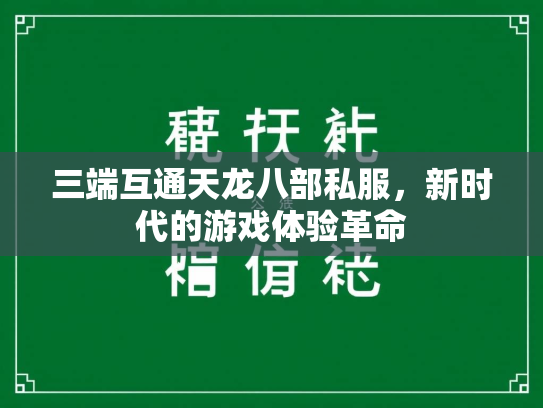 三端互通天龙八部私服，新时代的游戏体验革命  第2张