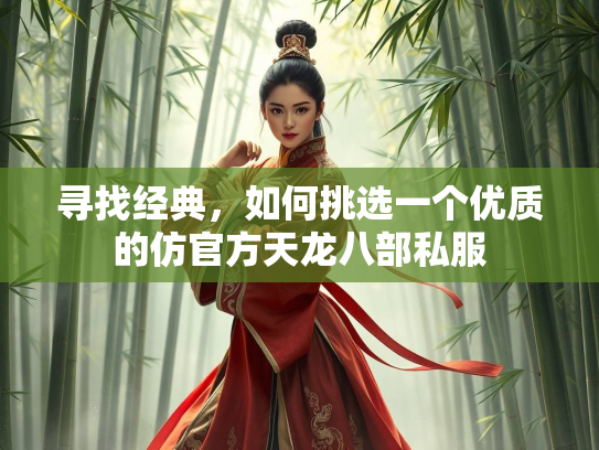 寻找经典，如何挑选一个优质的仿官方天龙八部私服