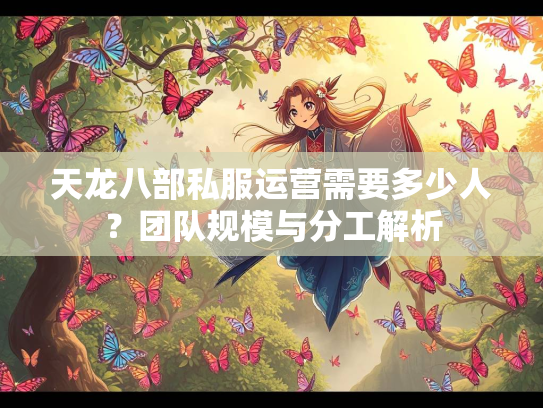 天龙八部私服运营需要多少人？团队规模与分工解析