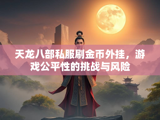 天龙八部私服刷金币外挂，游戏公平性的挑战与风险