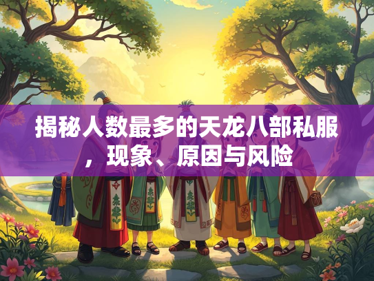 揭秘人数最多的天龙八部私服，现象、原因与风险  第2张