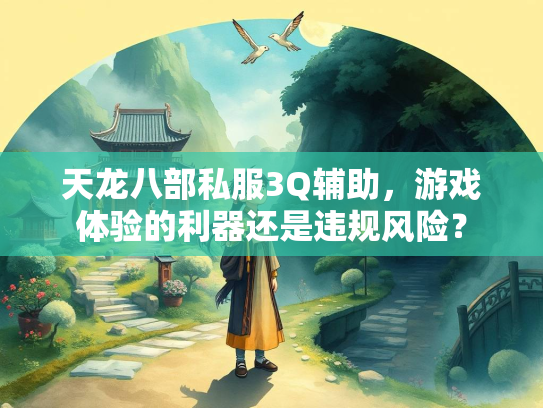 天龙八部私服3Q辅助，游戏体验的利器还是违规风险？