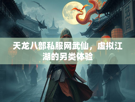 天龙八部私服网武仙，虚拟江湖的另类体验  第2张