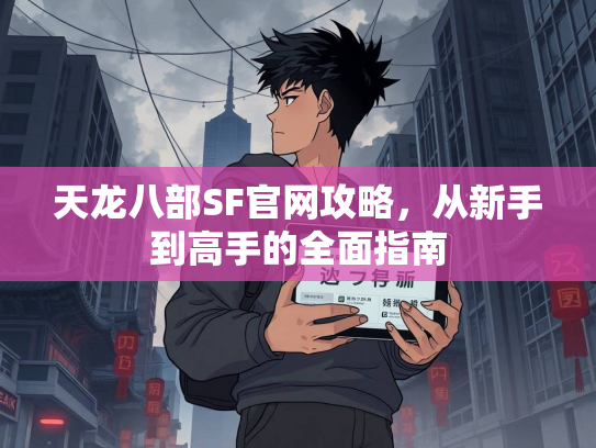 天龙八部SF官网攻略，从新手到高手的全面指南  第4张