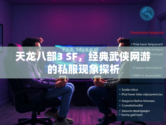 天龙八部3 SF，经典武侠网游的私服现象探析  第2张