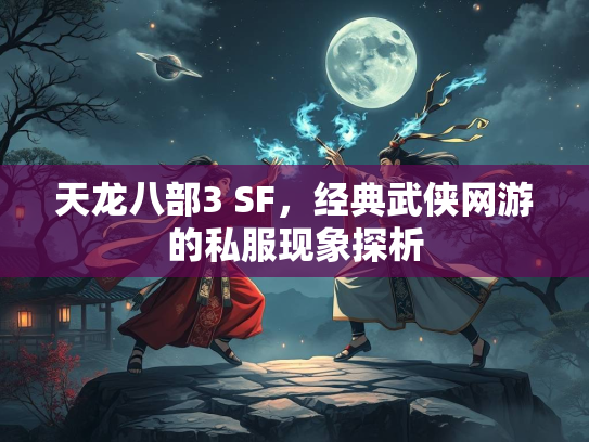 天龙八部3 SF，经典武侠网游的天龙探析私服现象探析  第1张
