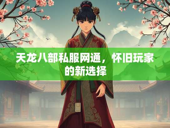 天龙八部私服网通，怀旧玩家的新选择  第3张