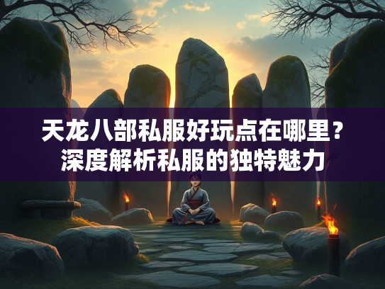 天龙八部私服好玩点在哪里？深度解析私服的独特魅力