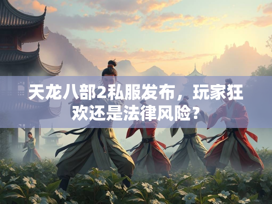 天龙八部2私服发布，玩家狂欢还是法律风险？  第4张