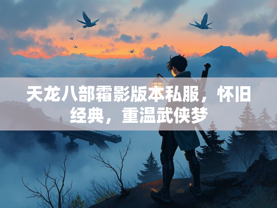 天龙八部霜影版本私服，怀旧经典，重温武侠梦  第2张