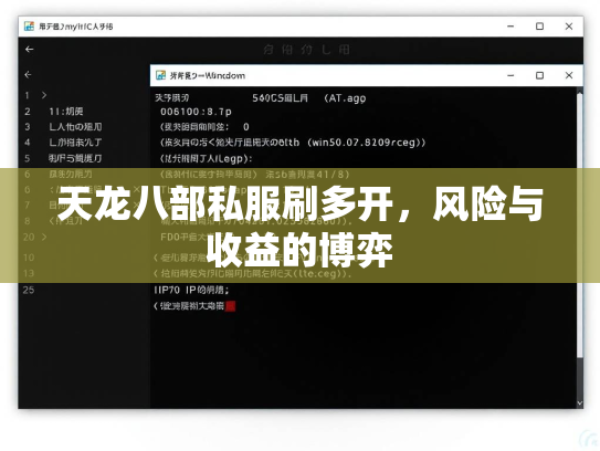 天龙八部私服刷多开，风险与收益的博弈  第2张