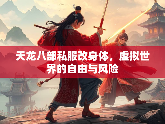 天龙八部私服改身体，虚拟世界的自由与风险