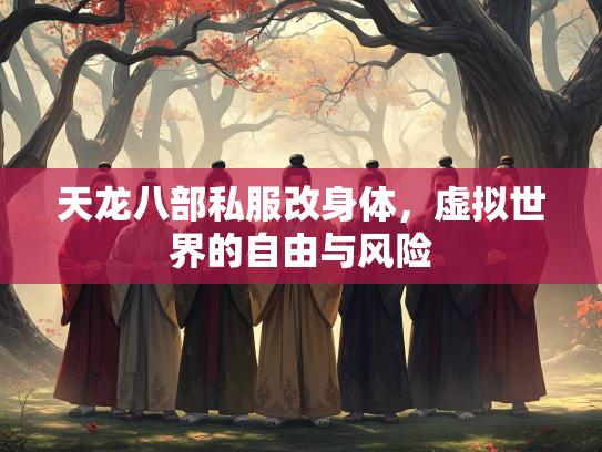 天龙八部私服改身体，虚拟世界的自由与风险