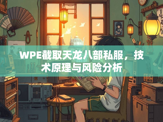 WPE截取天龙八部私服，技术原理与风险分析