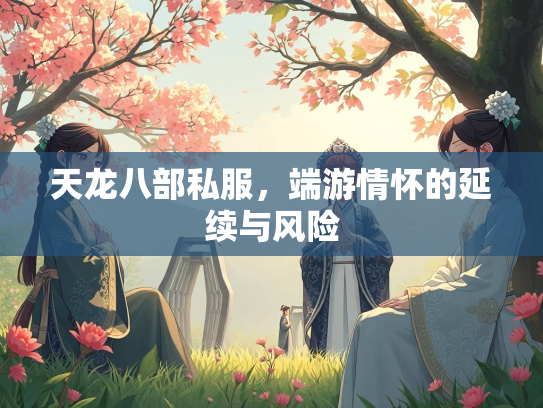 天龙八部私服，端游情怀的延续与风险