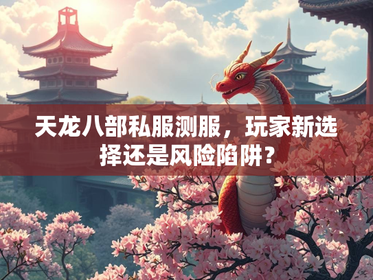 天龙八部私服测服，玩家新选择还是风险陷阱？