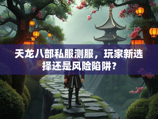 天龙八部私服测服，玩家新选择还是风险陷阱？